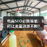 电商SEO必胜策略：如何让流量源源不断？（图4）