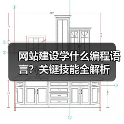 网站建设学什么编程语言？关键技能全解析（图4）