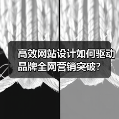 高效网站设计如何驱动品牌全网营销突破？