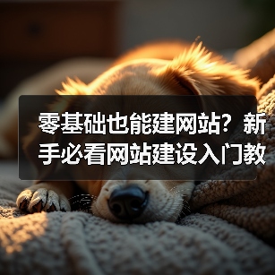 零基础也能建网站？新手必看网站建设入门教程（图3）