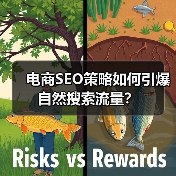 电商SEO策略如何引爆自然搜索流量？（图2）