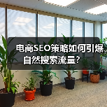 电商SEO策略如何引爆自然搜索流量？