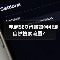 电商SEO策略如何引爆自然搜索流量？（图4）