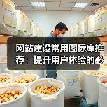 网站建设常用图标库推荐：提升用户体验的必备资源（图4）