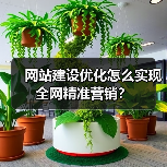 网站建设优化怎么实现全网精准营销？（图2）