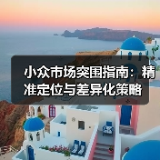小众市场突围指南：精准定位与差异化策略