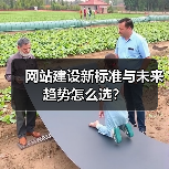 网站建设新标准与未来趋势怎么选？（图2）