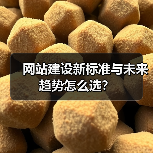 网站建设新标准与未来趋势怎么选？