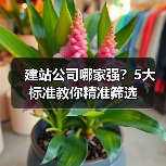建站公司哪家强？5大标准教你精准筛选（图2）