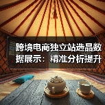 跨境电商独立站选品数据展示：精准分析提升转化