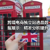 跨境电商独立站选品数据展示：精准分析提升转化（图3）