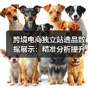 跨境电商独立站选品数据展示：精准分析提升转化（图4）