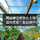 网站建设后怎么上传产品和文章？后台操作全攻略（图3）