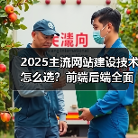 2025主流网站建设技术怎么选？前端后端全面解析（图2）