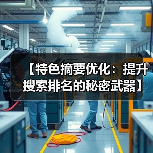 【特色摘要优化：提升搜索排名的秘密武器】