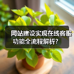 网站建设实现在线客服功能全流程解析？（图2）