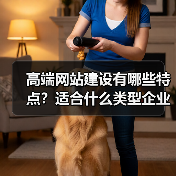 高端网站建设有哪些特点？适合什么类型企业？（图4）