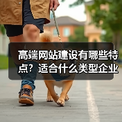 高端网站建设有哪些特点？适合什么类型企业？（图3）