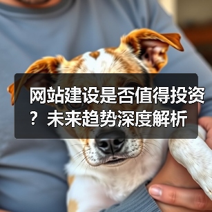 网站建设是否值得投资？未来趋势深度解析