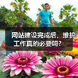 网站建设完成后，维护工作真的必要吗？