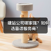 建站公司哪家强？如何选靠谱服务商？（图2）