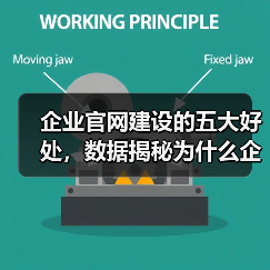 企业官网建设的五大好处，数据揭秘为什么企业必须拥有官网？（图3）