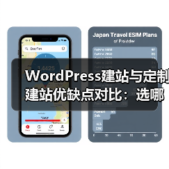 WordPress建站与定制建站优缺点对比：选哪个更划算？（图2）