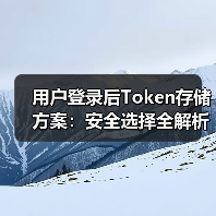 用户登录后Token存储方案：安全选择全解析
