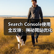 Search Console使用全攻略：揭秘网站优化提升排名技巧（图2）