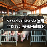 Search Console使用全攻略：揭秘网站优化提升排名技巧（图3）