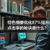 特色摘要优化87%提升点击率的秘诀是什么？（图2）