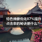 特色摘要优化87%提升点击率的秘诀是什么？（图3）