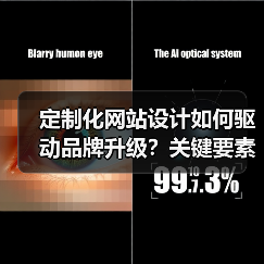 定制化网站设计如何驱动品牌升级？关键要素解析（图2）