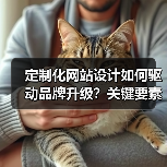 定制化网站设计如何驱动品牌升级？关键要素解析（图4）