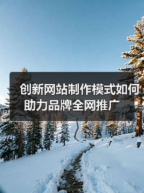 创新网站制作模式如何助力品牌全网推广（图2）