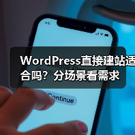 WordPress直接建站适合吗？分场景看需求（图3）