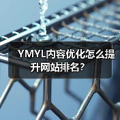 YMYL内容优化怎么提升网站排名？（图3）