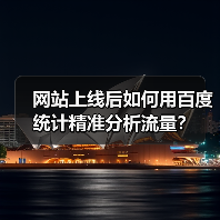 网站上线后如何用百度统计精准分析流量？（图2）