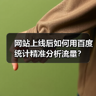 网站上线后如何用百度统计精准分析流量？（图3）