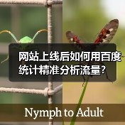 网站上线后如何用百度统计精准分析流量？（图4）