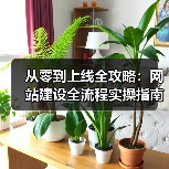 从零到上线全攻略：网站建设全流程实操指南（图2）