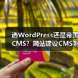 选WordPress还是帝国CMS？网站建设CMS系统怎么选？（图2）
