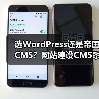 选WordPress还是帝国CMS？网站建设CMS系统怎么选？（图4）