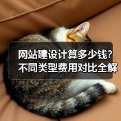 网站建设计算多少钱？不同类型费用对比全解析（图4）