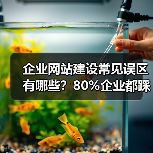 企业网站建设常见误区有哪些？80%企业都踩坑