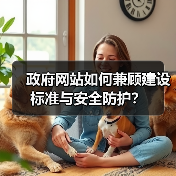 政府网站如何兼顾建设标准与安全防护？