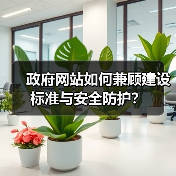 政府网站如何兼顾建设标准与安全防护？（图4）