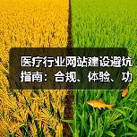 医疗行业网站建设避坑指南：合规、体验、功能全解析（图2）