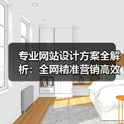 专业网站设计方案全解析：全网精准营销高效实现指南