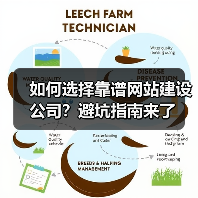 如何选择靠谱网站建设公司？避坑指南来了（图4）